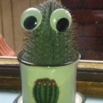 आपकी आँखों के बारे में दस आश्चर्यजनक सत्य जो आप कभी नहीं जानते होंगे