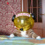 10 कठोर सत्य आपको अंतरिक्ष यात्री बनने से पहले पता होना चाहिए