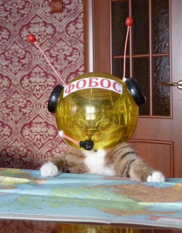 10 कठोर सत्य आपको अंतरिक्ष यात्री बनने से पहले पता होना चाहिए