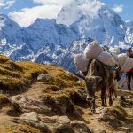 नेपाल में दस सर्वश्रेष्ठ चढ़ाई वाली चोटियाँ आपकी चढ़ाई के योग्य हैं