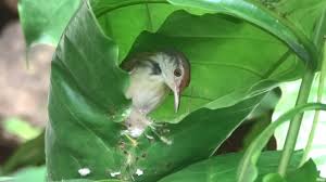 images 13